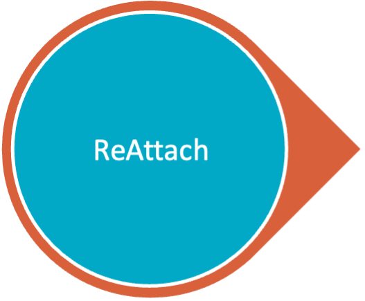 ReAttach therapie 